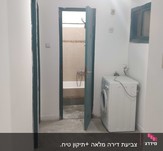 חדר עם דלתות צבועות בצבע ירוק כהה